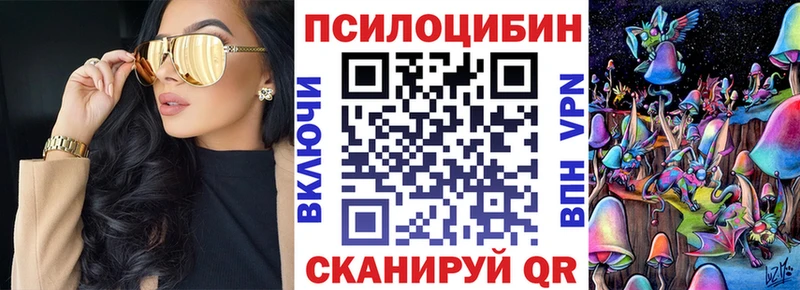 купить закладку  Рубцовск  ссылка на мегу вход  Псилоцибиновые грибы Psilocybe 