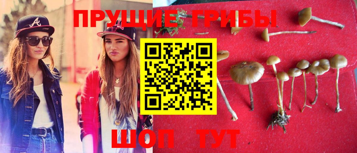 Галлюциногенные грибы мицелий  Галлюциногенные грибы Magic Shrooms  Рубцовск 