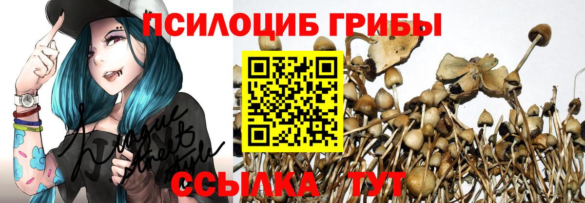 Псилоцибиновые грибы Psilocybine cubensis  сколько стоит  Вход с VPN  Рубцовск  Галлюциногенные грибы GOLDEN TEACHER 